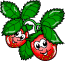 Strawberries:10717